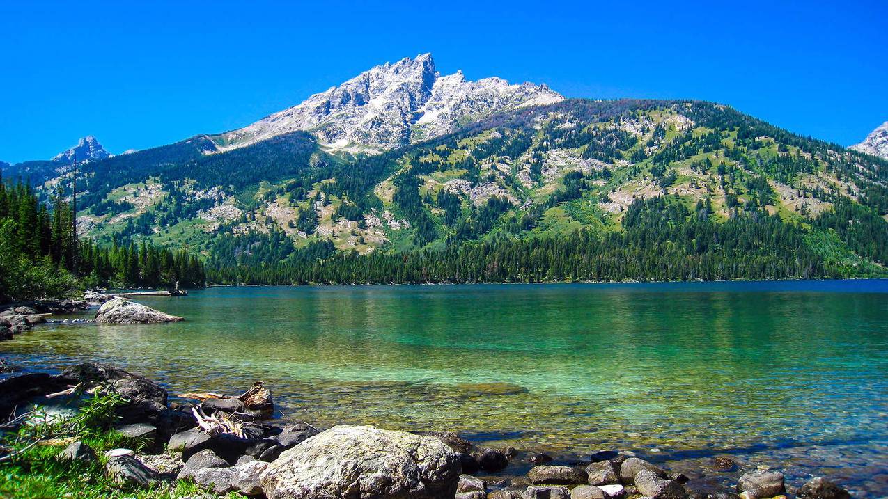 抖音里面拍什么最好-dy业务网