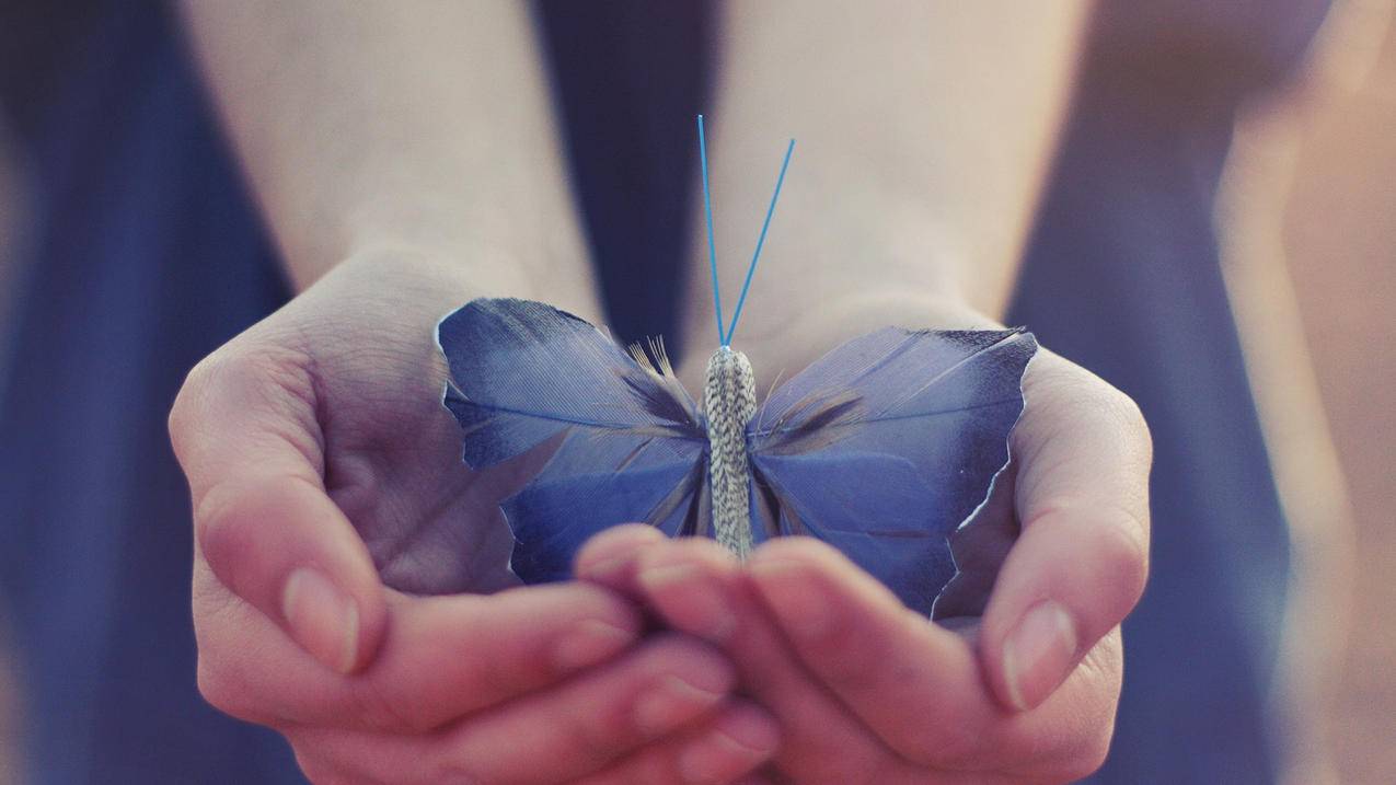 免费socket代理ip_apache socket代理 - 注册外服方法 - 55dz账号网