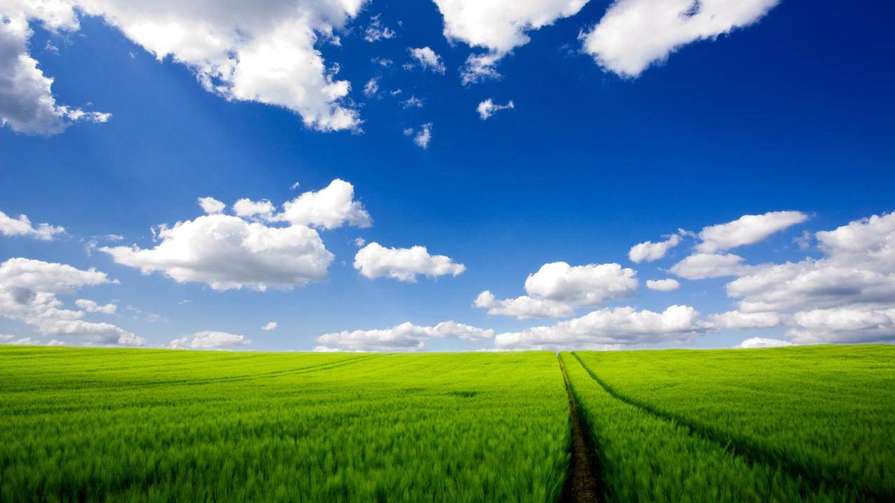 抖音刷赞ks - 说说赞免费领取软件下载,低价QQ业务平台