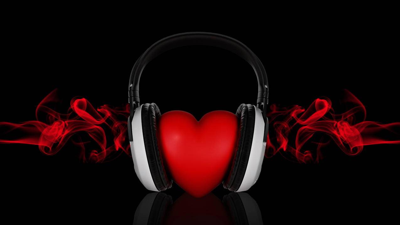 zoom怎么关闭摄像头和麦克风_zoom关闭自己的麦克风 - zoom相关 - 55dz账号网