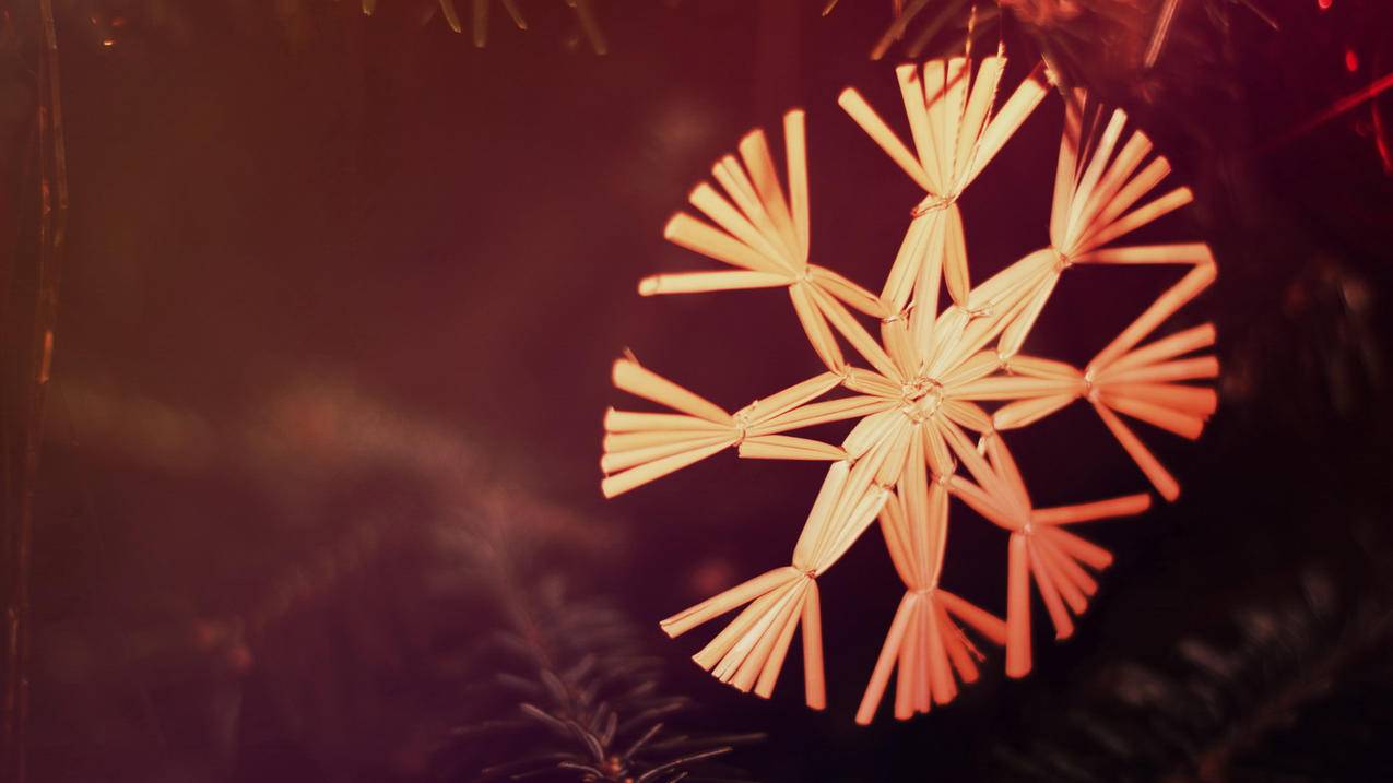 邢强小火箭_小火箭邢博士 - 注册外服方法 - 55dz账号网