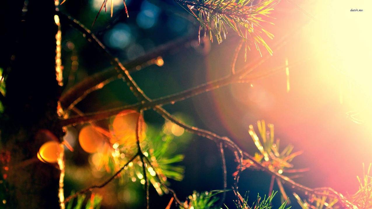 快手郑州业务平台 - qq刷赞最低价免费,快手粉丝僵尸粉代刷