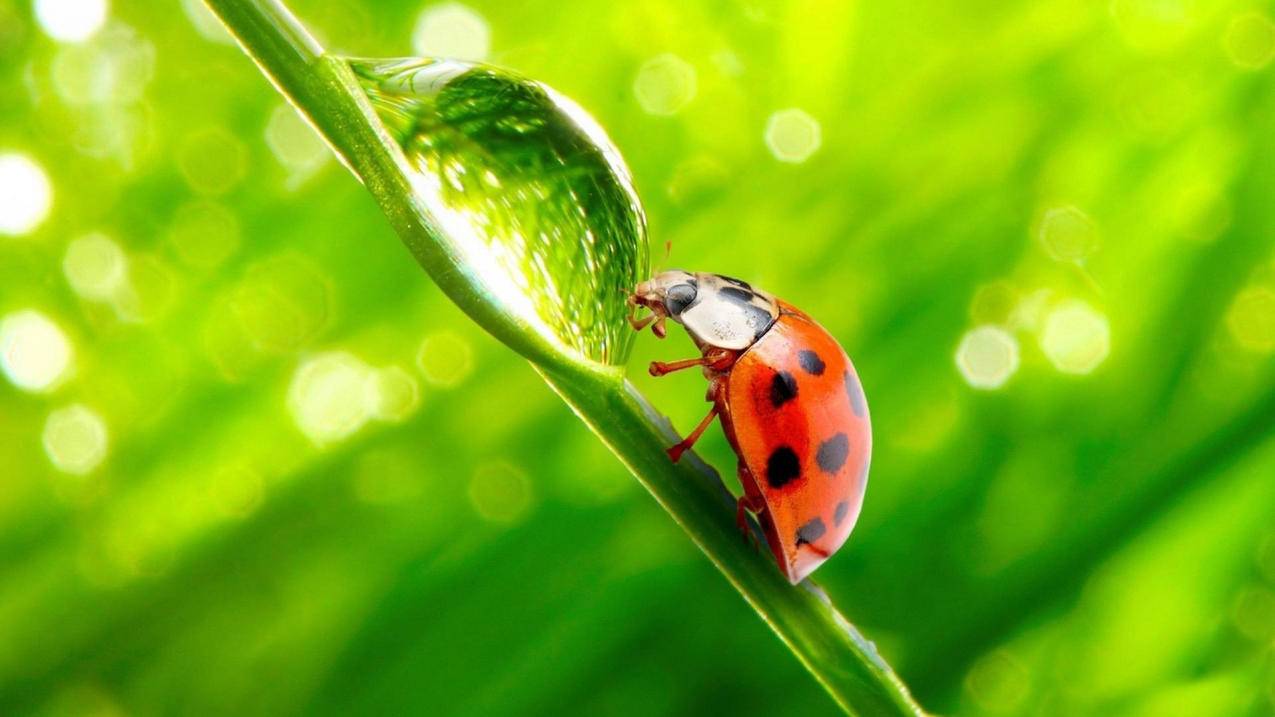 邮箱后缀签名怎么设置_邮箱设置签名在哪里 - gmail相关 - 55dz账号网