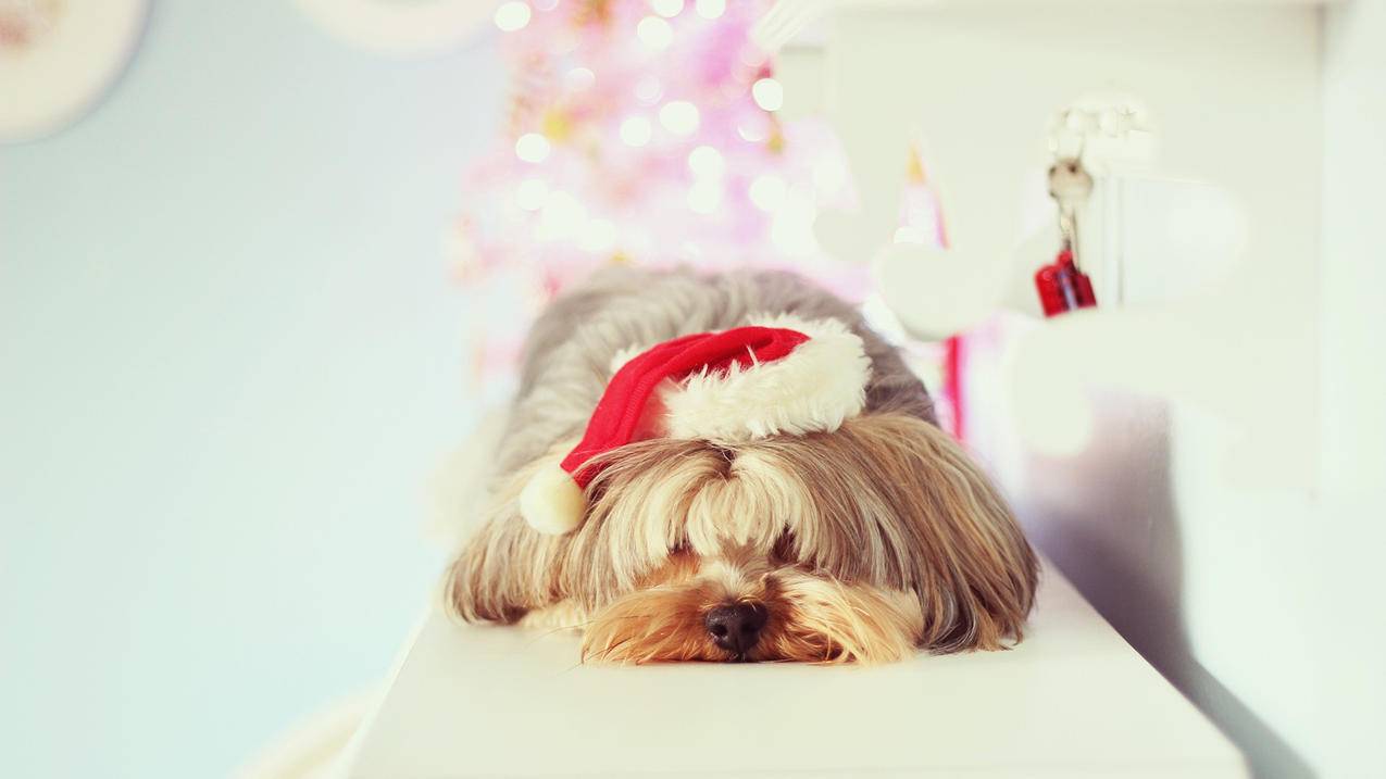 facebook注册网站app_facebook注册网站验证不了怎么办 - facebook相关 - 55dz账号网