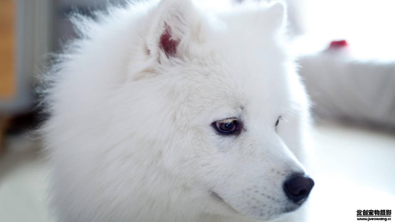 日服双生视界刷初始_双生视界日服更新 - 日本苹果ID - 55dz账号网