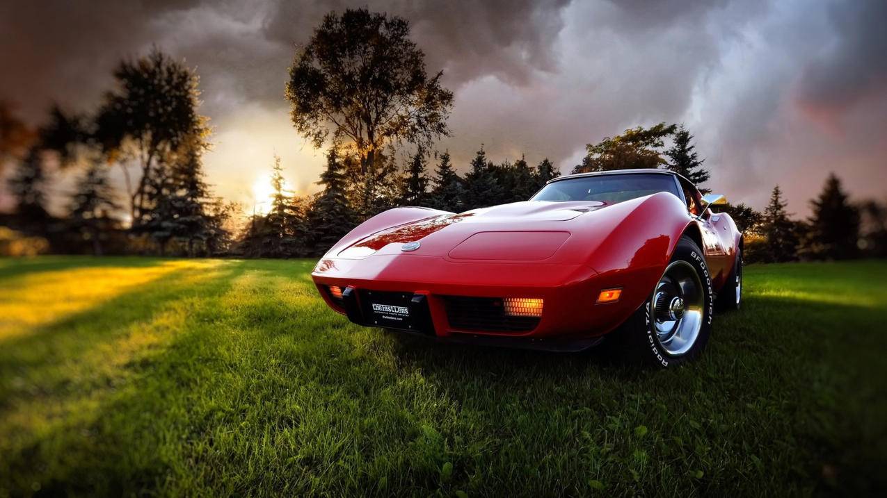 苹果13更新香港appleid设置连接服务器出现问题怎么办_更新appleid设置连接服务器时出现问题 - 香港苹果ID - 55dz账号网