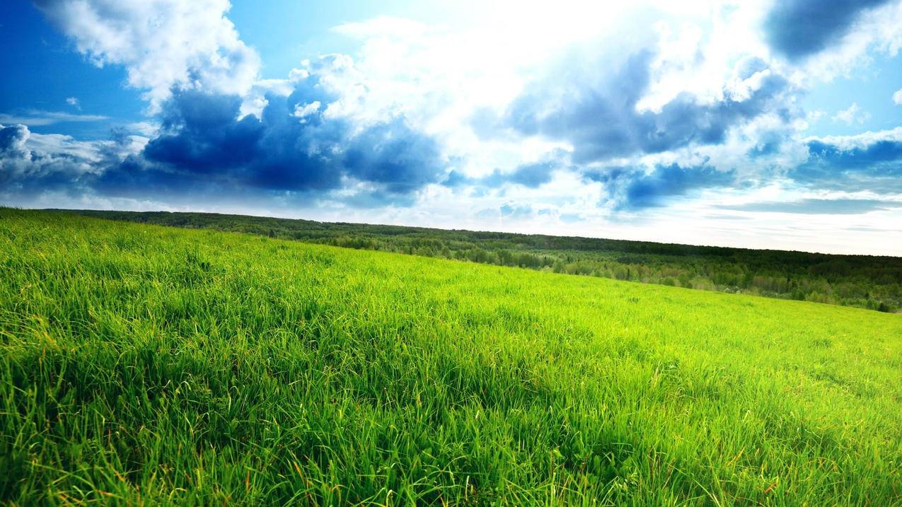 抖音最强赛马是什么-dy业务网