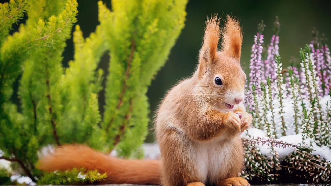 谷歌商店怎么改地区  ( 谷歌商店美元可以买港币的吗 ) - 55dz账号网