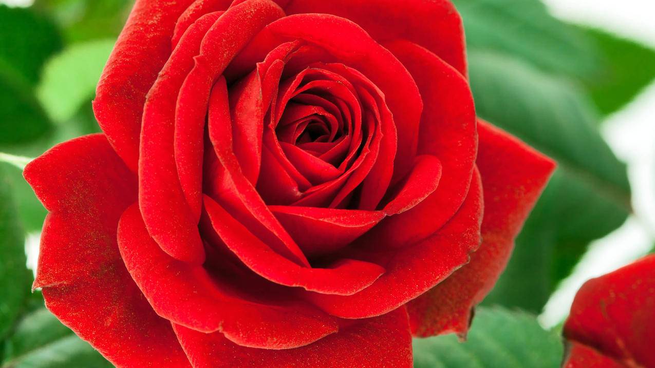 美国留学费用支付方式全汇总！ - Apple ID相关 - 55dz账号网