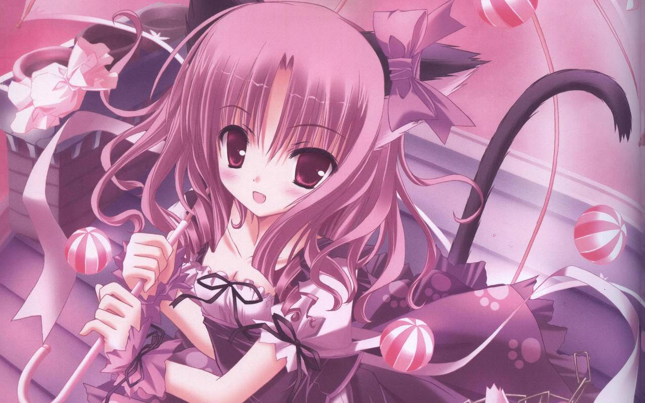 天赐代刷网 - 蚂蚁快手秒刷网站-低价抖音代刷平台-快手点赞24小时业务平台