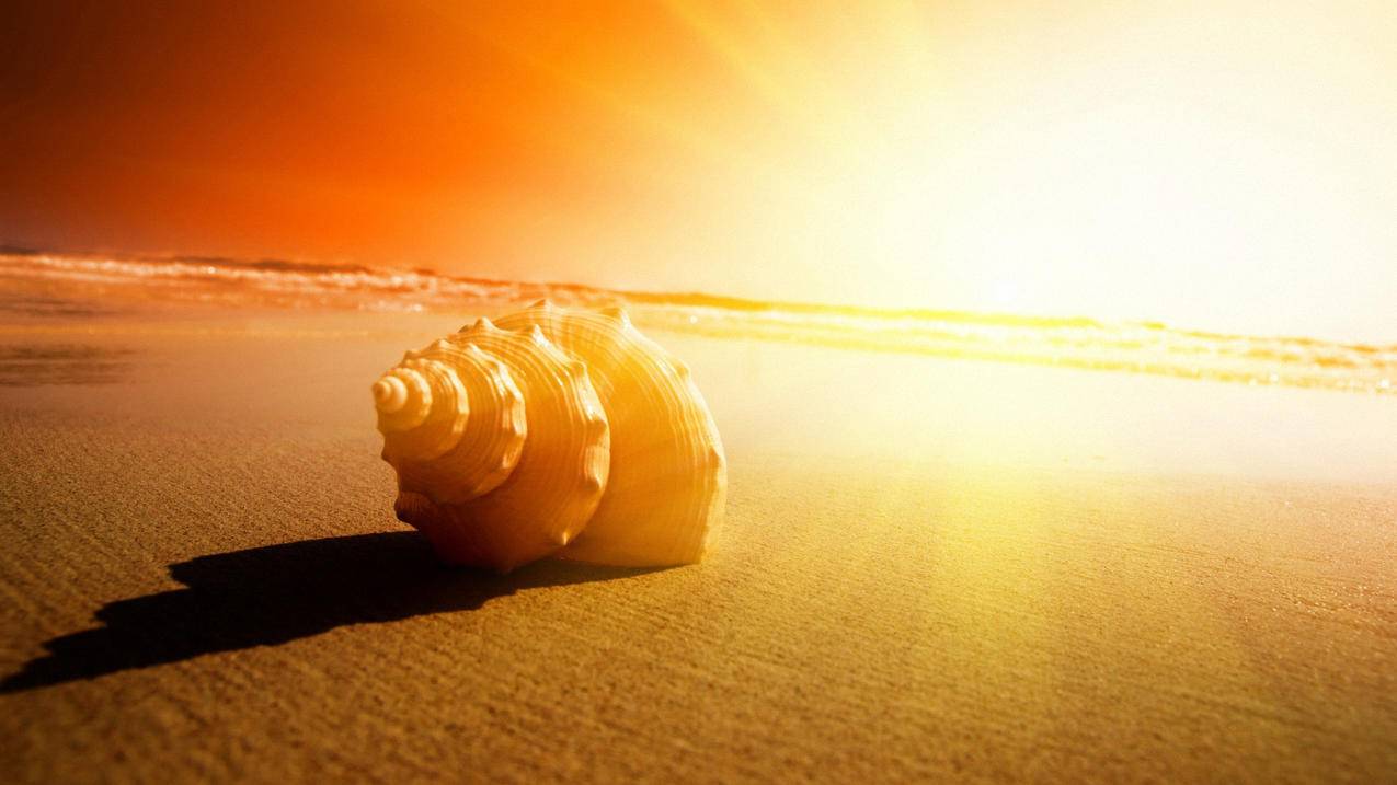 苹果id突然在异地登录怎么回事_苹果id出现在异地登录是怎么回事 - 各区苹果ID - 55dz账号网