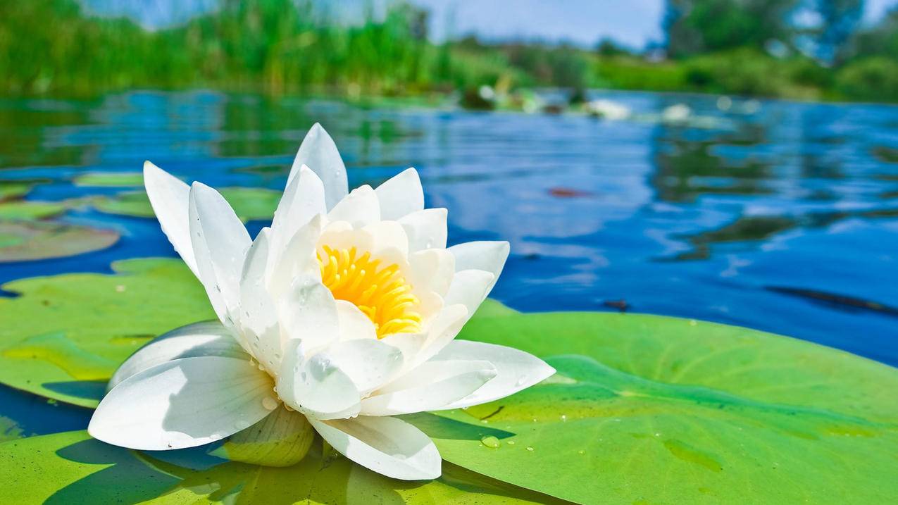 新加坡台湾苹果id注册流程_注册新加坡苹果ID - 台湾苹果ID - 55dz账号网