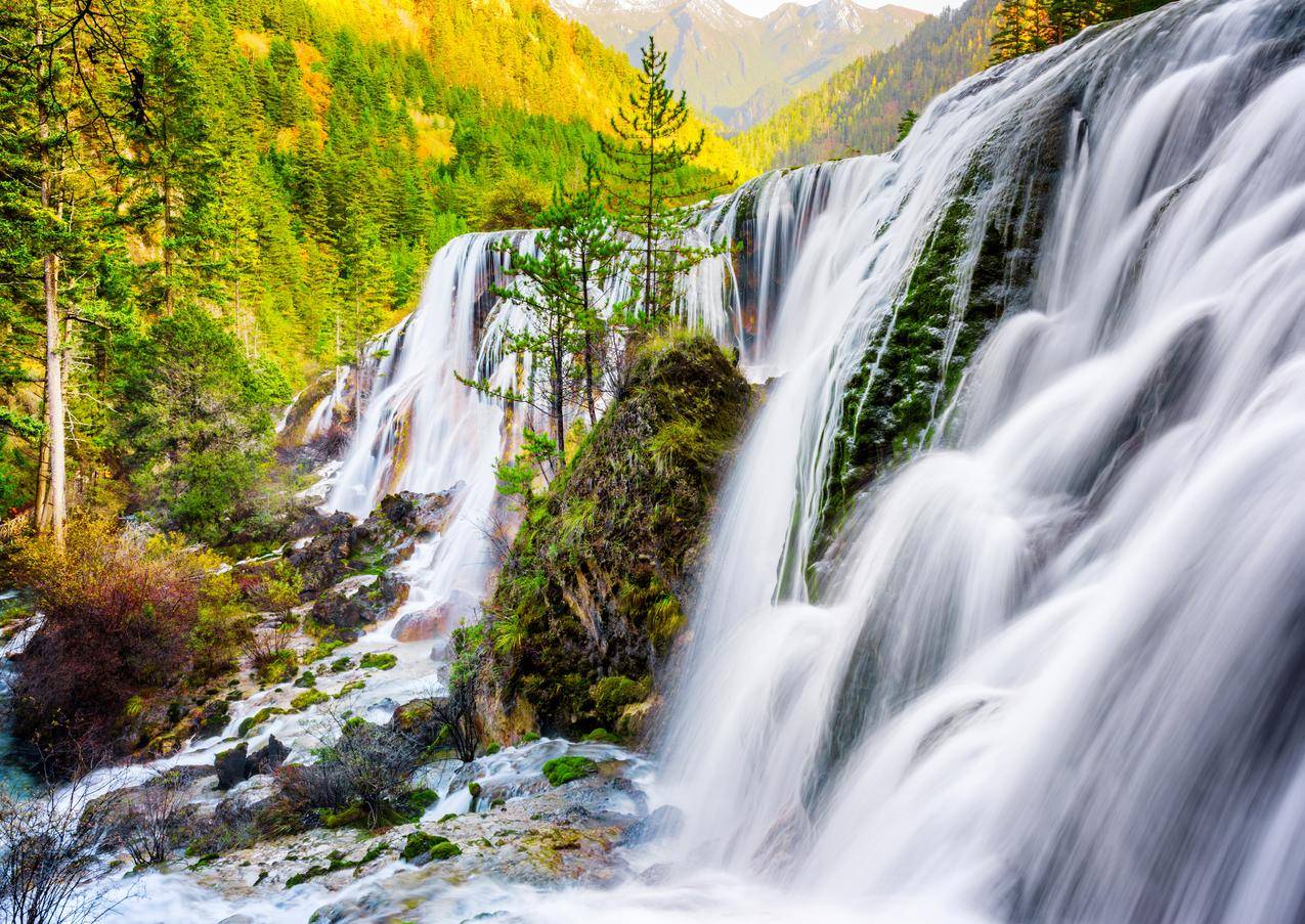 千川如何拉正人群？ - ks自助下单 - ks业务下单