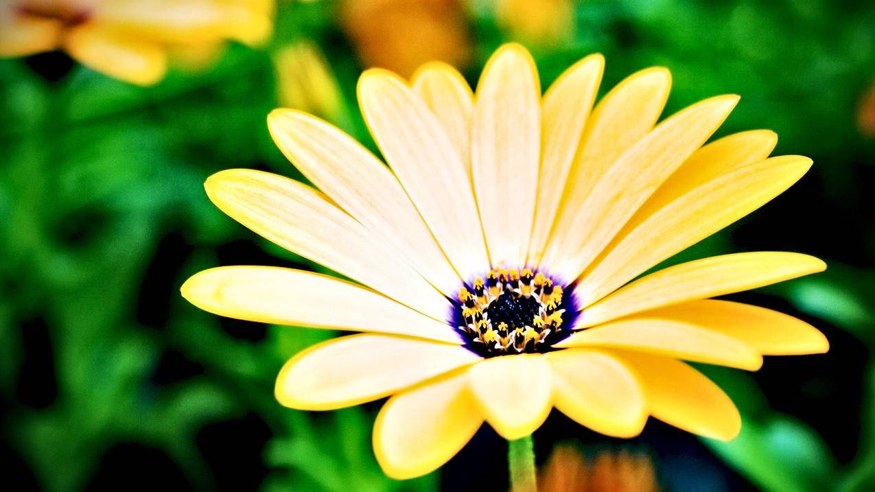 苹果手机退了id照片都没有了怎么恢复? ， 苹果手机ID退出后 备忘录里的东西都没了 该怎么恢复 急!!!!!  - 55dz账号网