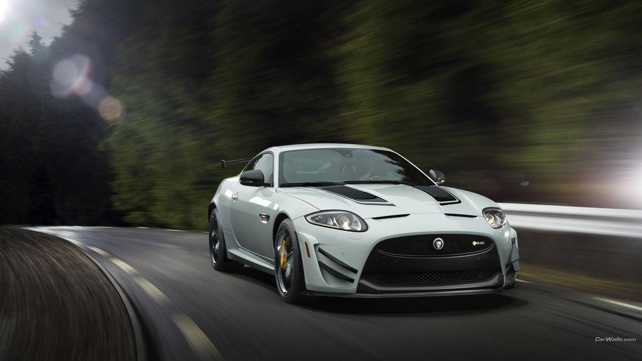 zoom摄像头背景设置_zoom摄像头背景设置方法 - zoom相关 - 55dz账号网