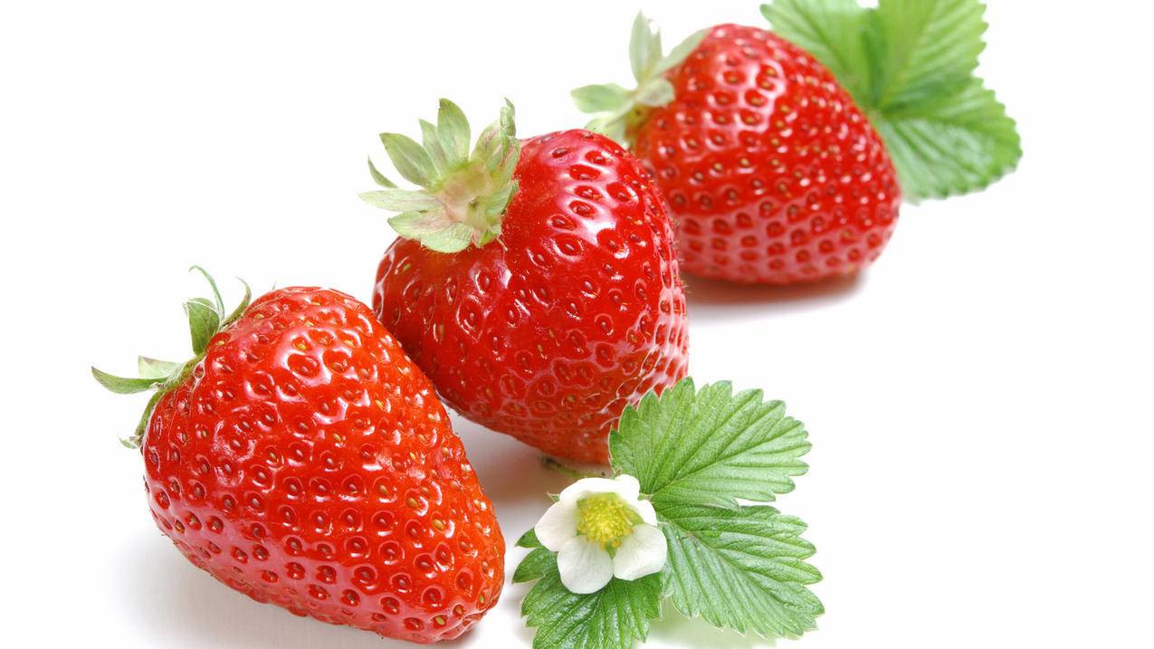 电脑显示屏出现英文怎么解决_电脑显示屏出现英文字母怎么办 - skype相关 - 55dz账号网