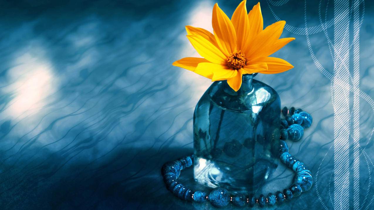 怎么注册亚马逊跨境电商？亚马逊全球开店官网注册流程-苹果id平台