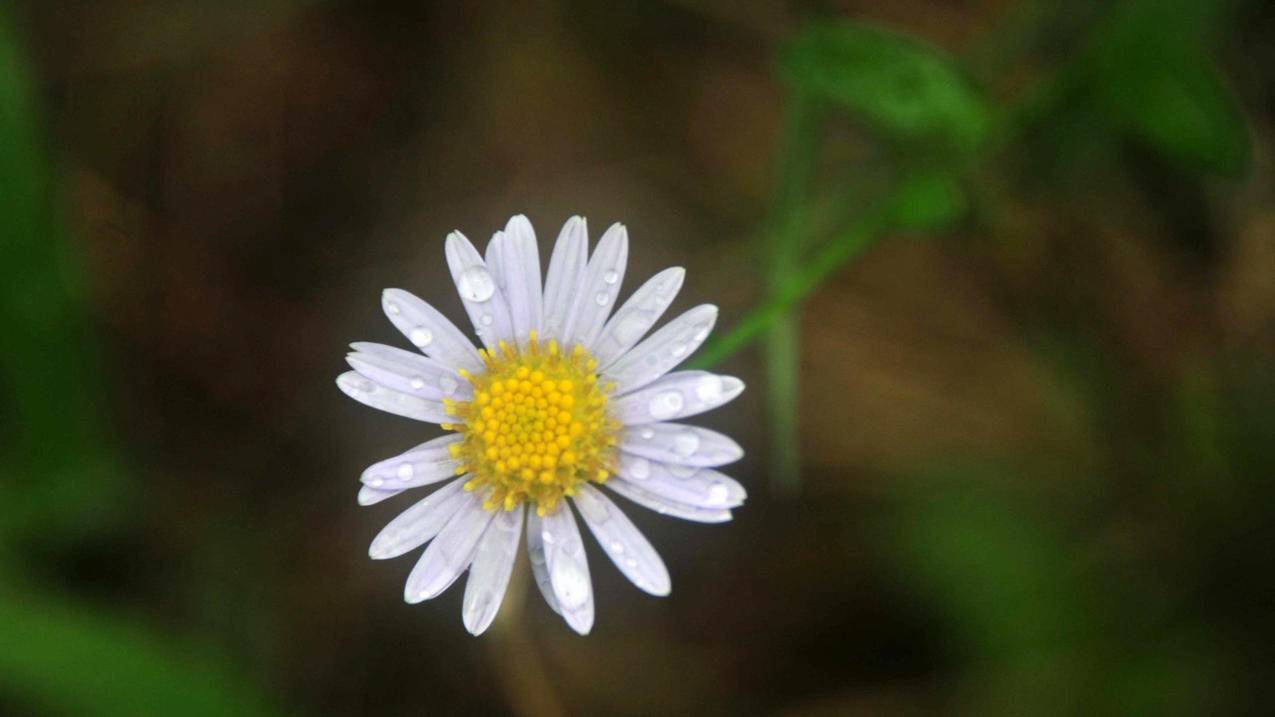 nba2k20自创球员身高_nba2k20前锋创建身高 - IOS分享 - 55dz账号网