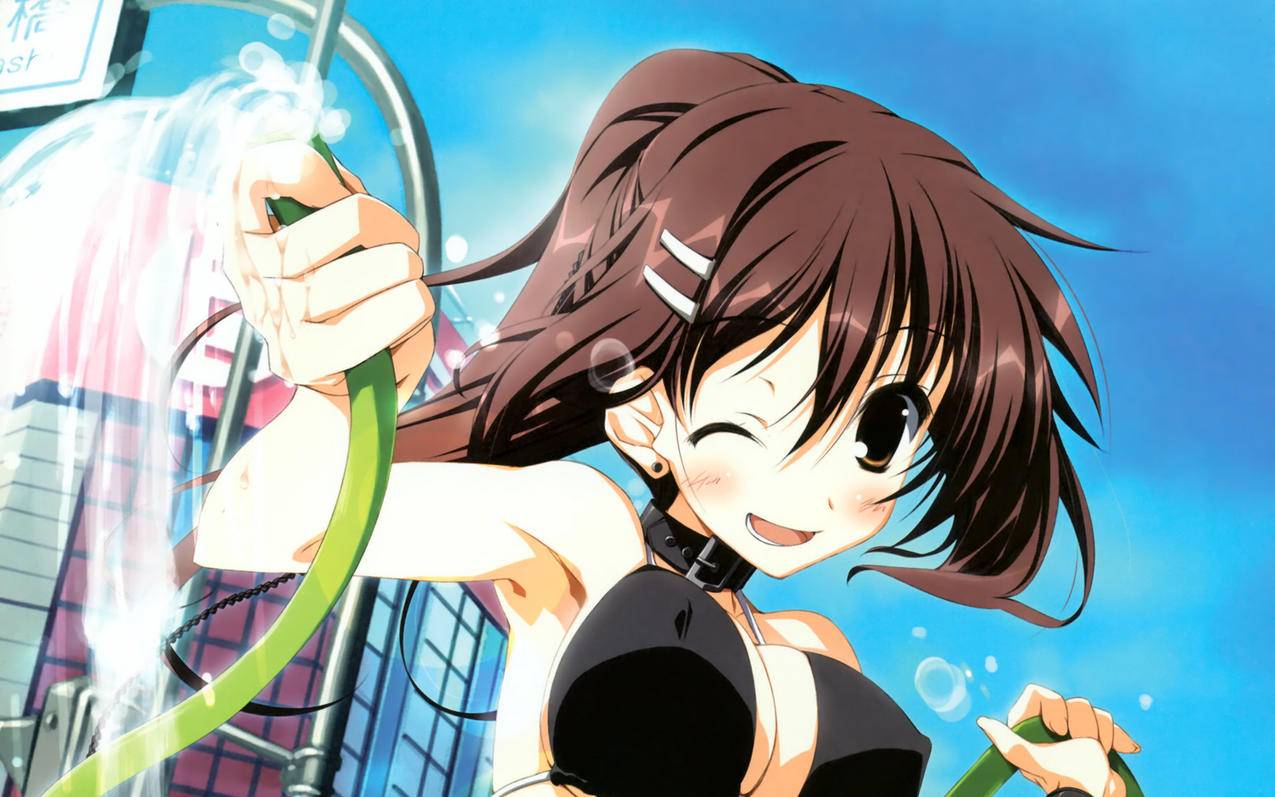 苹果手机怎么申请退款? ， 苹果申请退款怎么操作  - 55dz账号网