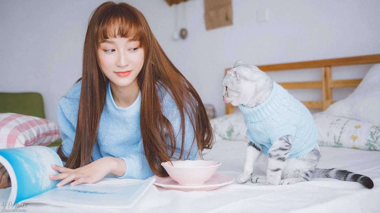 fifaonline4范巴斯滕和舍甫琴科谁好用_fifa足球世界范巴斯滕好吗 - Line相关 - 55dz账号网