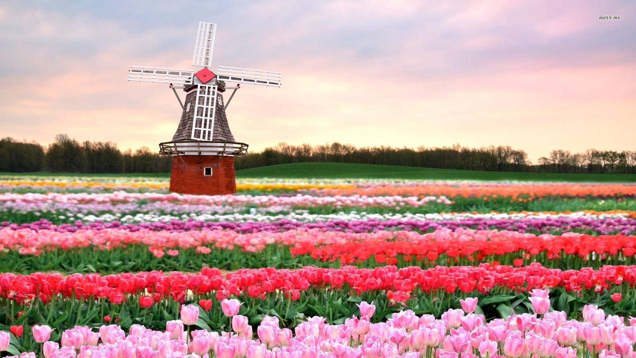 威尔胜clashv2测评_威尔胜 clash - clash相关 - 55dz账号网