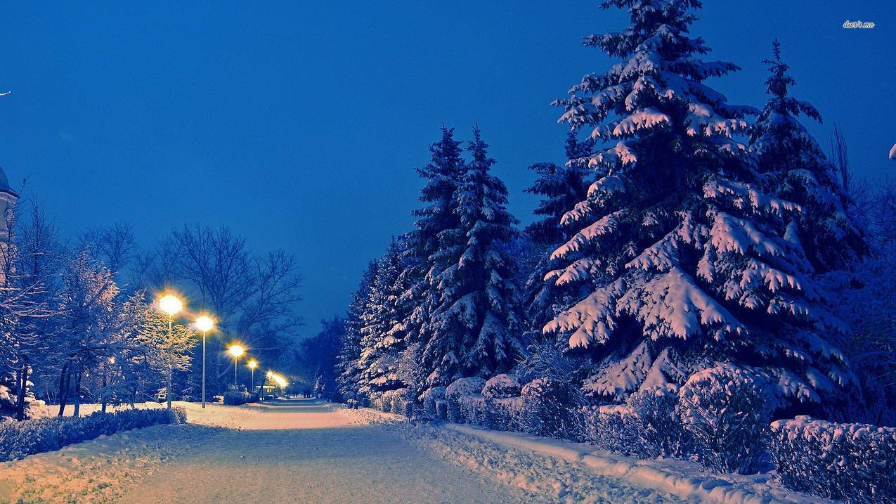 快点0.5元1000赞 - 快手刷赞神器秒,秒刷快手评论点赞软件,夜态龙刷快手赞