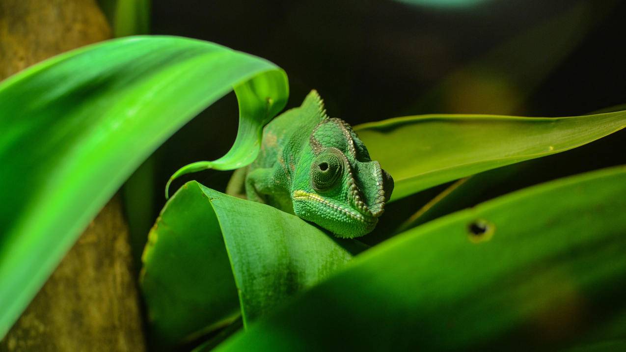 怎么快速提分小学数学，如何高效提升小学生数学成绩？ - 小学教育 - ks24小时自助