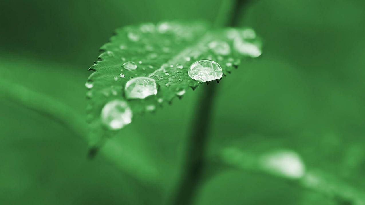 qq邮箱注册的菲律宾苹果id忘记了密码（苹果id用qq邮箱注册然后忘记密码了） - 各区苹果ID - 55dz账号网