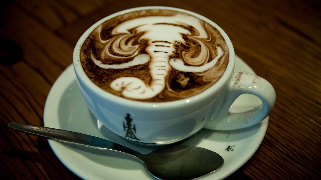 威尔胜clash100测评_威尔胜clash硬度 - clash相关 - 55dz账号网