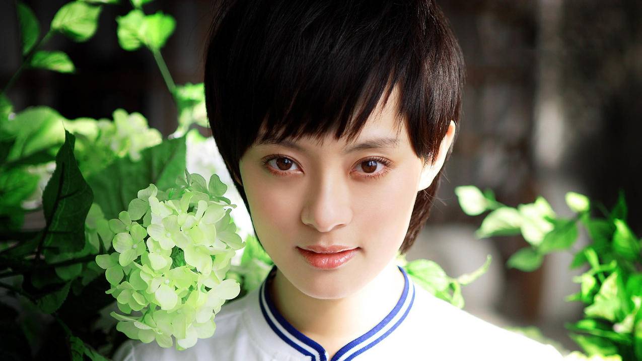 迄今最强骁龙8至尊版！一加Ace 5 Pro跑分破321万-苹果id平台