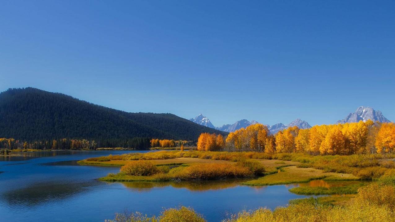 美服苹果id付款记录怎么删除_美服苹果id付款记录怎么删除掉 - 美国苹果ID - 55dz账号网