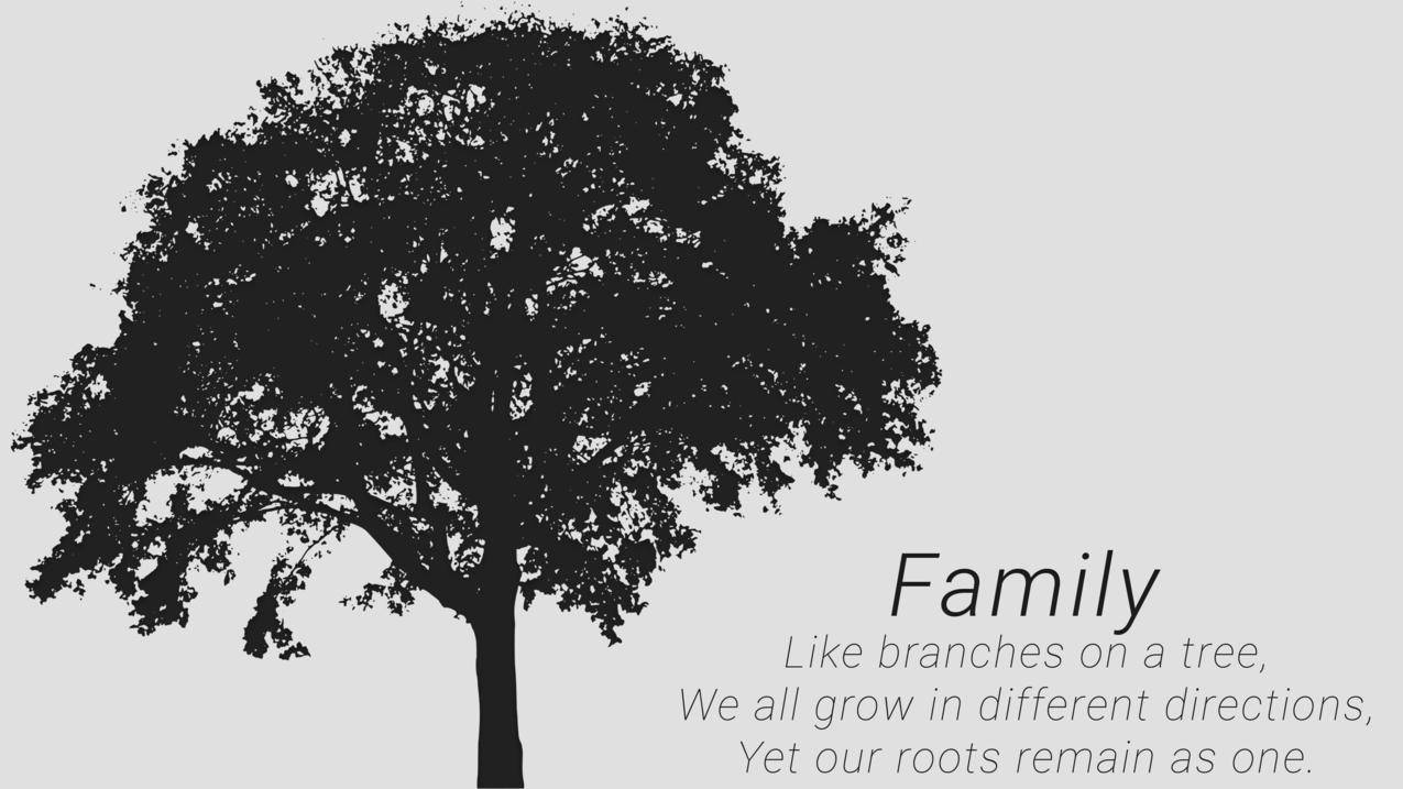 怎么查香港appleid消费账单_苹果id怎么查找消费账单 - 香港苹果ID - 55dz账号网