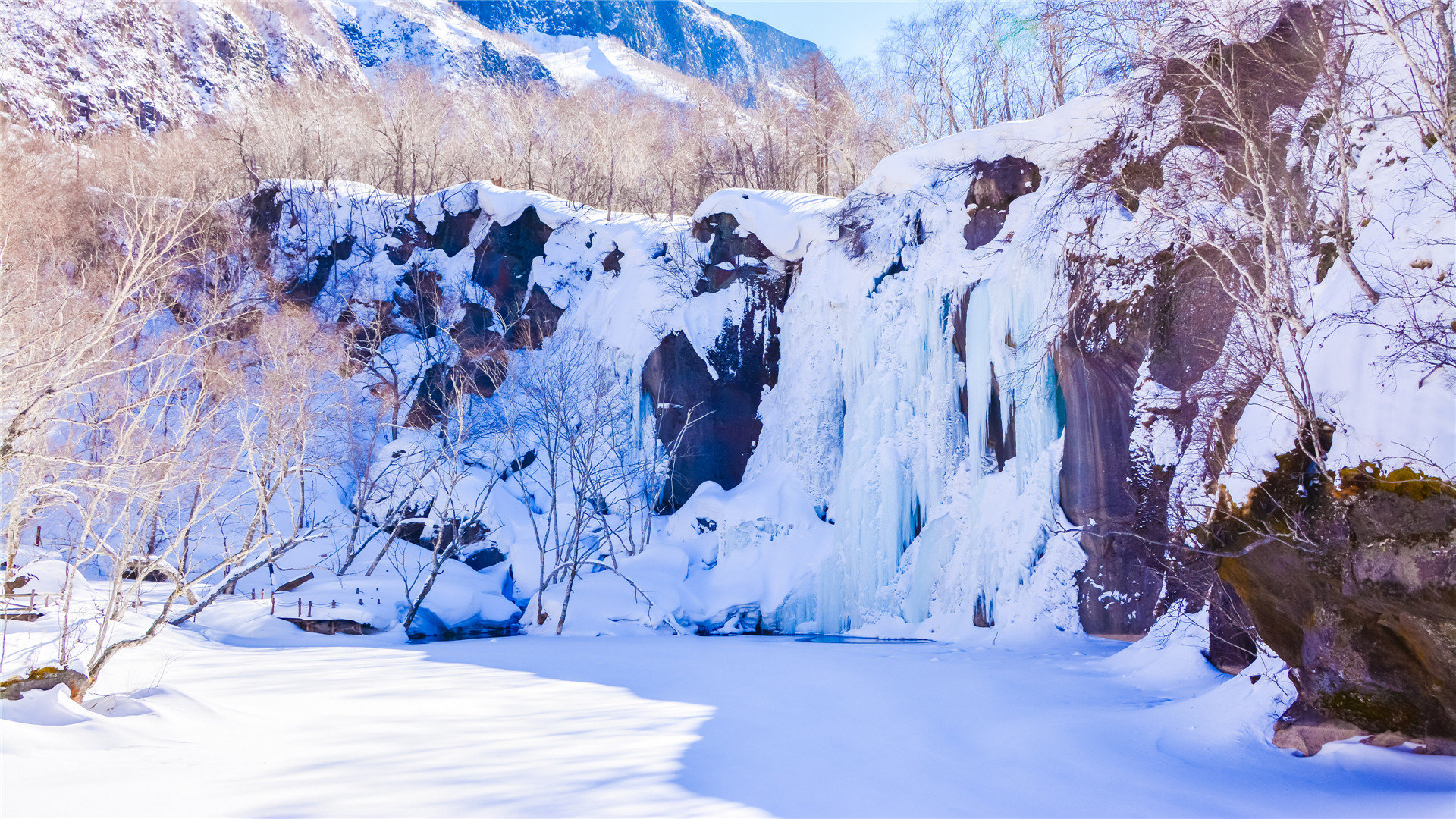 越南苹果id怎么退出别人的账号忘记密码了 - 各区苹果ID - 55dz账号网