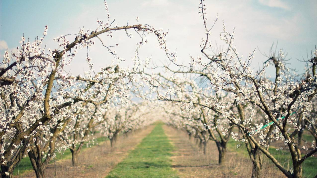 抖音灯牌亲密度等级对照表  ( 抖音粉丝团亲密度对应多少? ) - 55dz账号网
