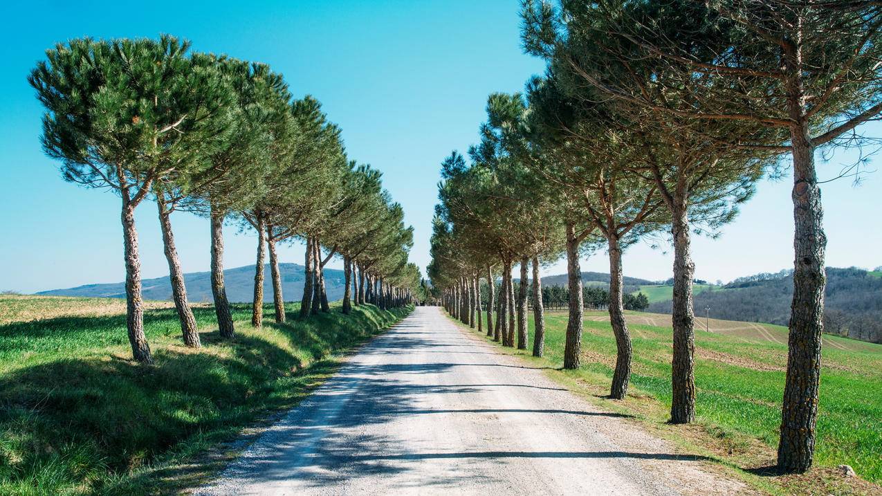 苹果id找回密码 ， 用丢失的苹果手机id登录新买的手机有什么问题么知乎  - 55dz账号网