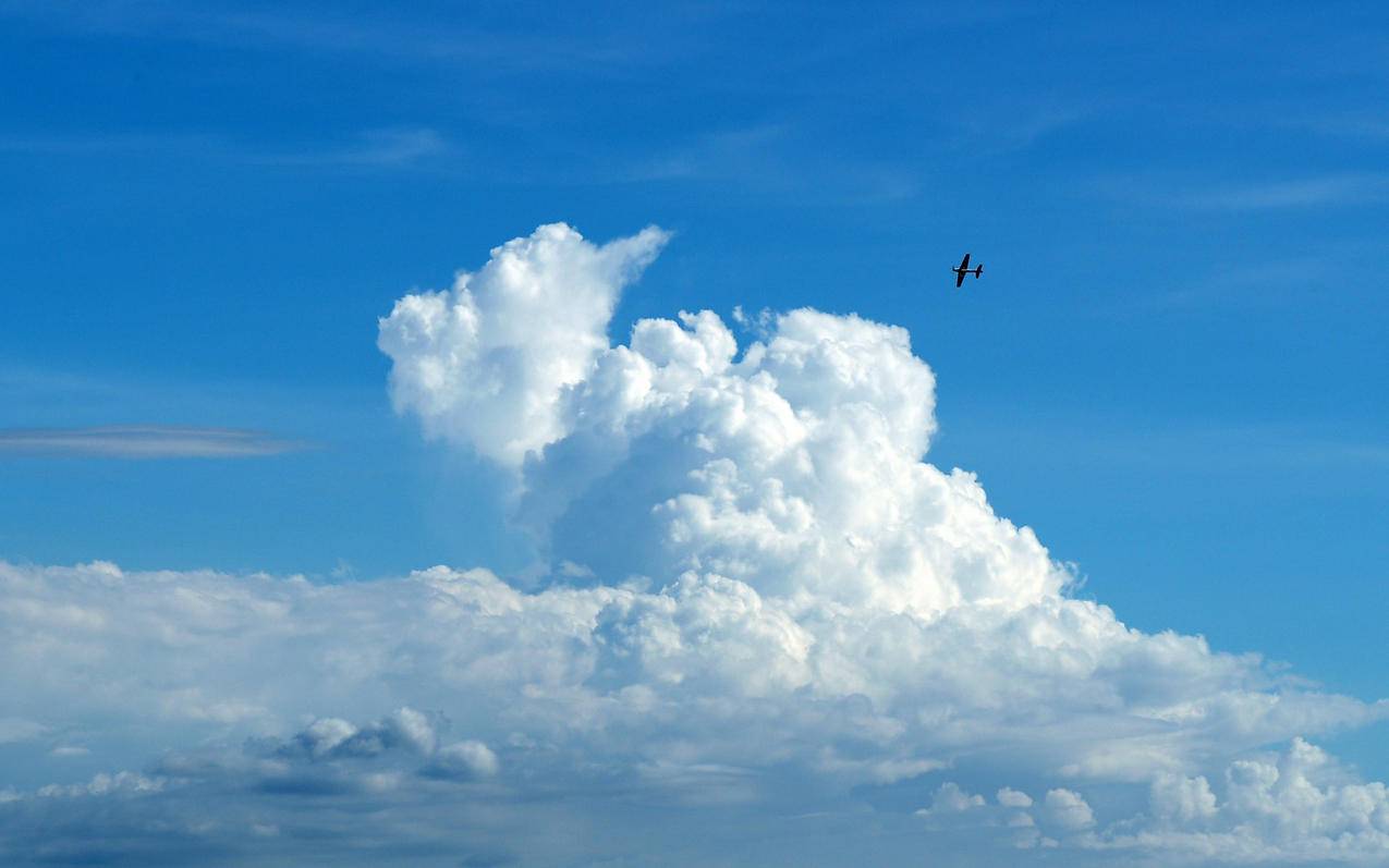 苹果手机小火箭怎么续费  ( 怎么用ios的shadow socks上网啊? ) - 55dz账号网