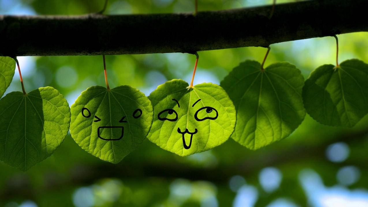 苹果怎么玩美服游戏_苹果玩美服游戏要用加速器 - 美国苹果ID - 55dz账号网