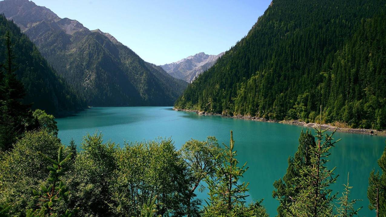 ins关注别人显示保护社群_ins保护社群什么意思 - INS相关 - 55dz账号网