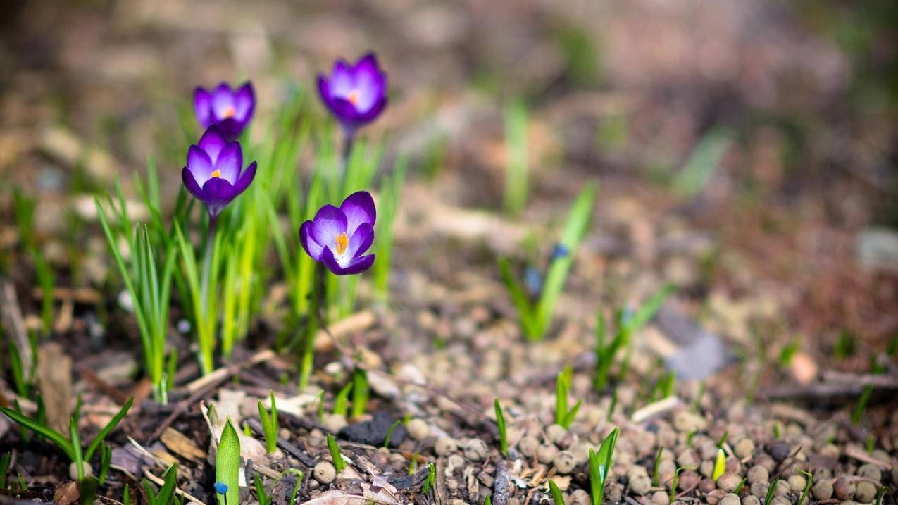 怎么找回我的twitter用户名呢?  ( 社交媒体个人页面链接怎么弄 ) - 55dz账号网