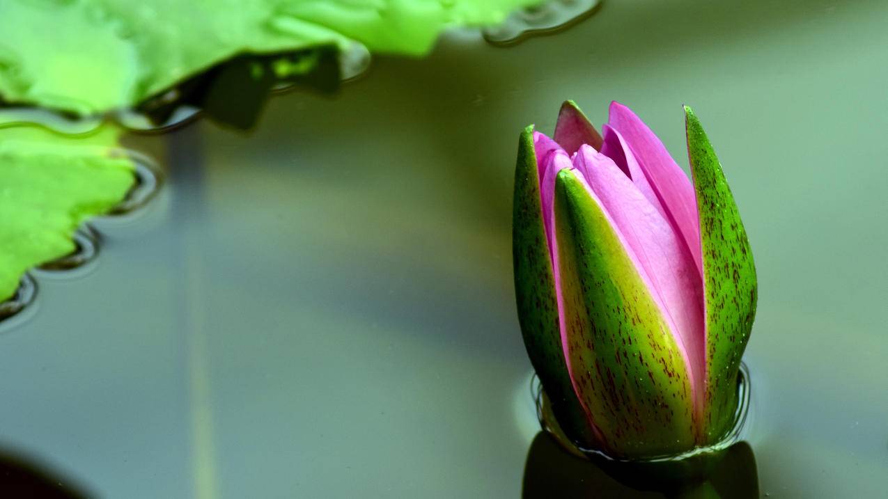 iphoneid重设的邮箱怎么更换 ， 怎么修改apple id的电子邮箱地址呢?  - 55dz账号网