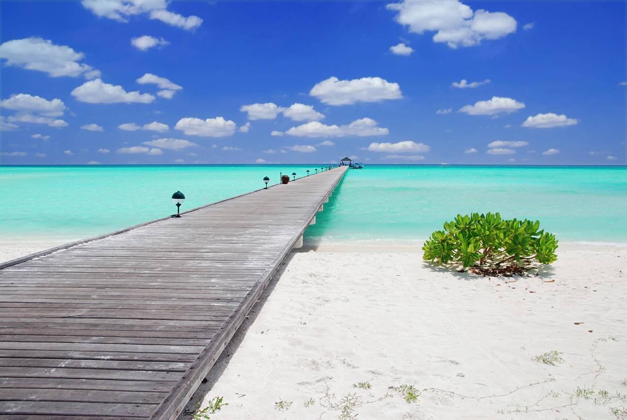 525业务网-24小时 - 刷赞软件推广qq网址,刷qq空间赞的免费_在线自助下单平台免费