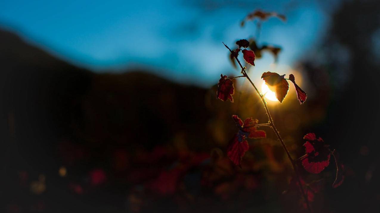 如何绑定新邮箱地址_邮箱地址怎样绑定 - gmail相关 - 55dz账号网