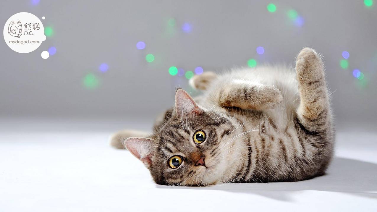 如何修改appleid电话_如何更改iphone id电话 - 各区苹果ID - 55dz账号网