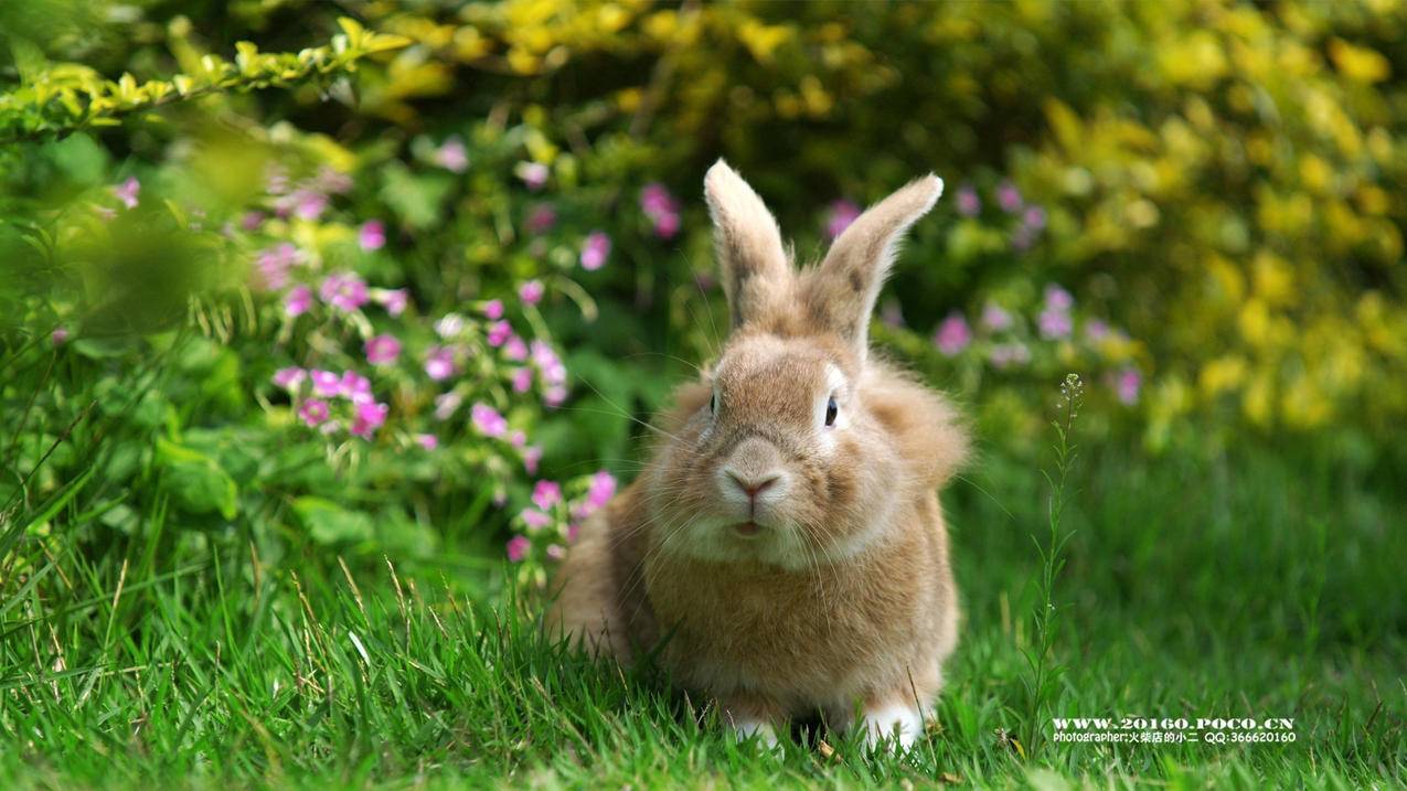 villains是什么意思啊_villain是什么意思中文 - INS相关 - 55dz账号网