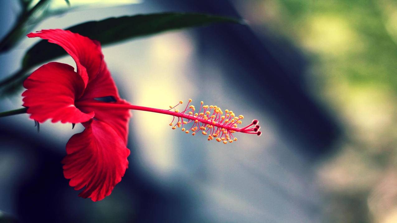 用什么方法试播抖音-dy业务网