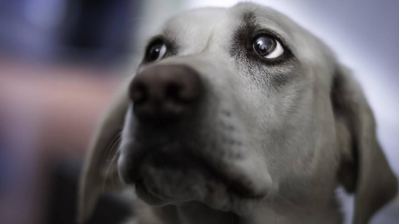 rideabike是什么意思翻译_rideabike的中文意思是什么 - messenger相关 - 55dz账号网