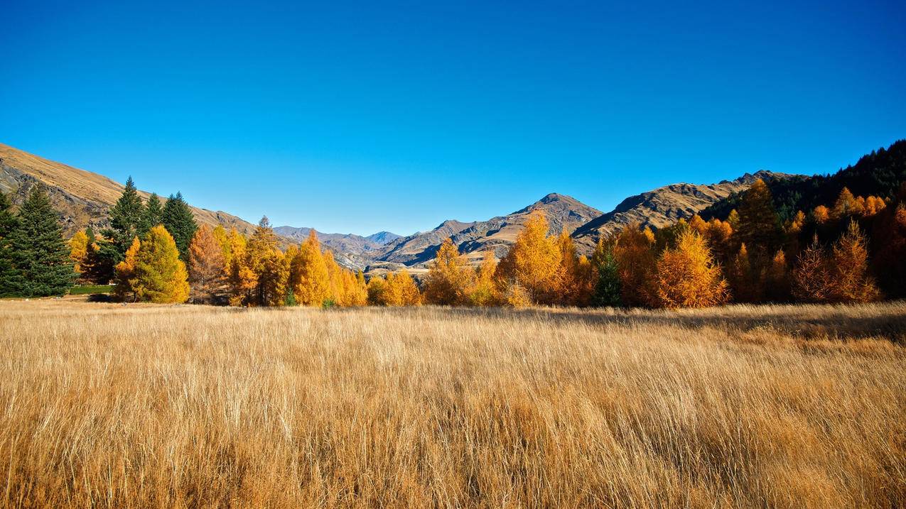 clash全局模式安卓_clash 安卓 全局模式 - clash相关 - 55dz账号网