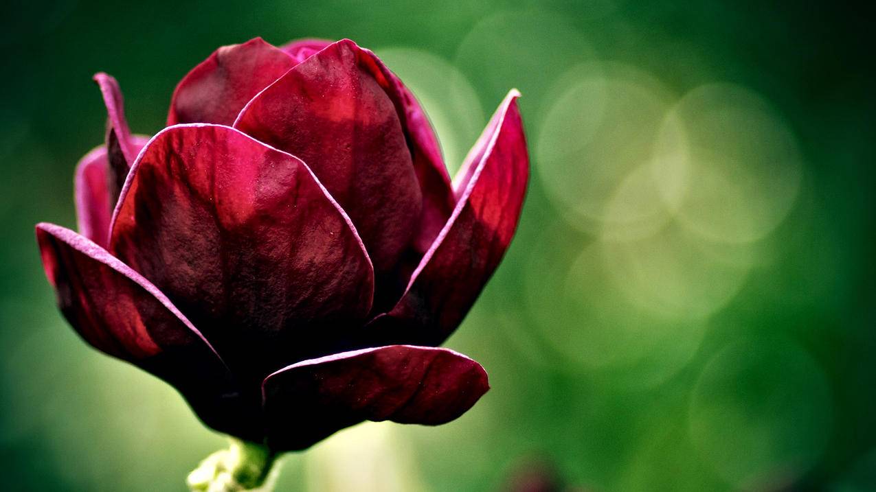 向苹果手机id充钱微信能支付吗? ， 怎么用微信给Apple ID充值?  - 55dz账号网