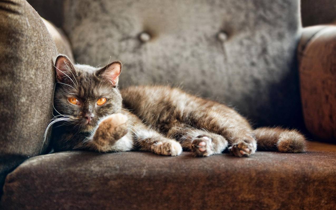 注册邮箱格式怎么写举例_注册邮箱的格式怎么写 - gmail相关 - 55dz账号网