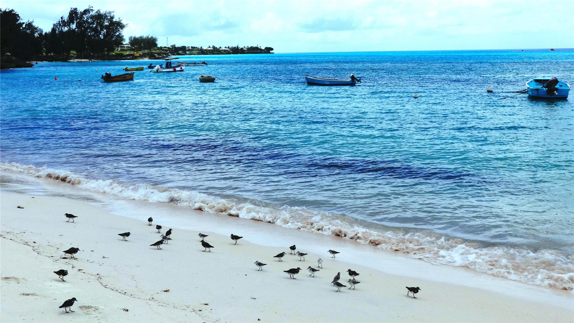 fgo日服怎么切换账号_fgo国服怎么切换账号 - 日本苹果ID - 55dz账号网